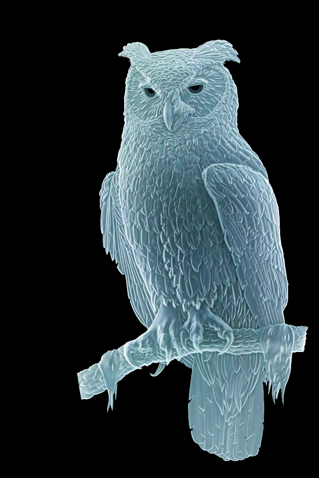 Sand Carved Glass Great Horned Owl by Lex Melfi