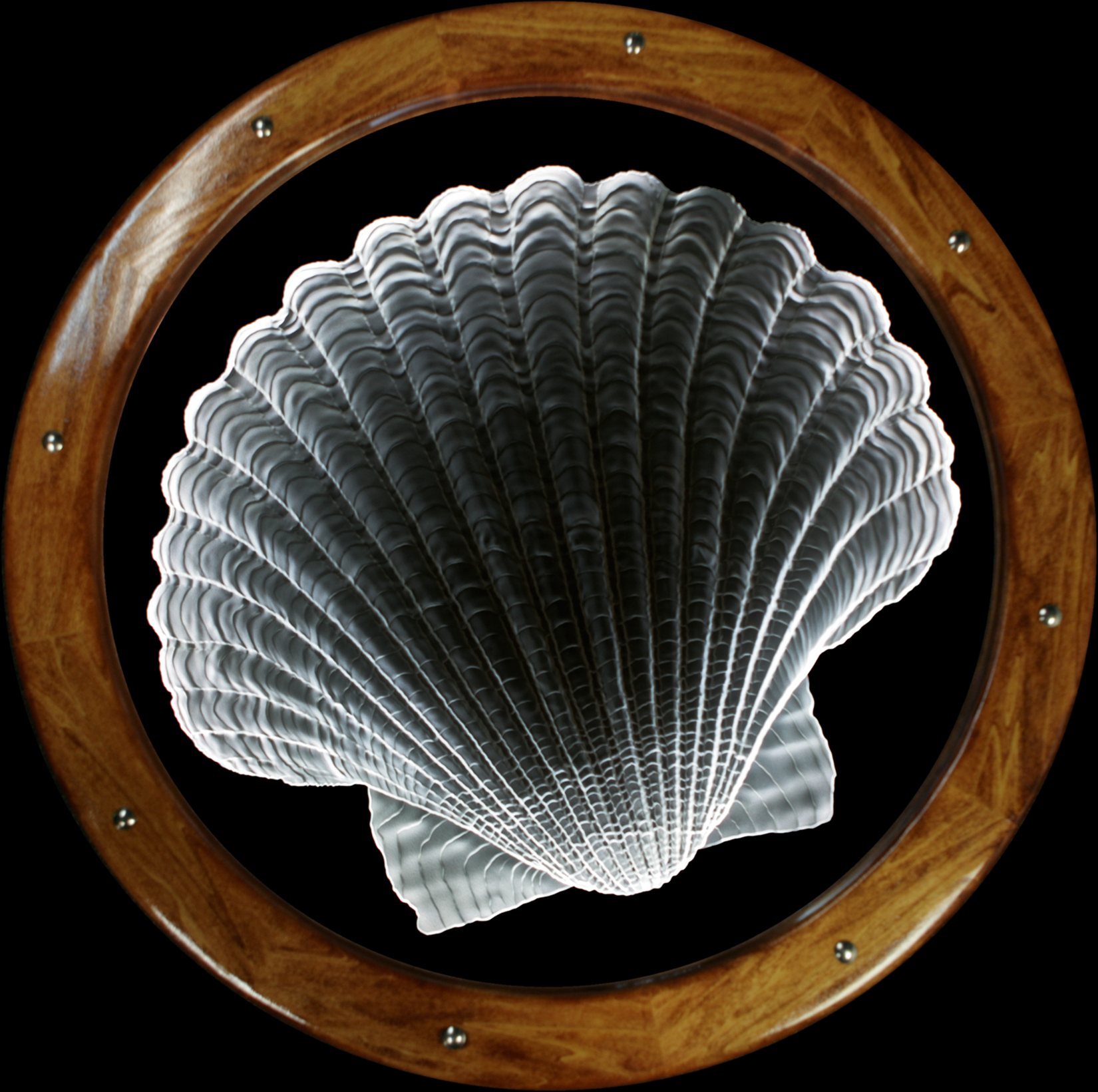 Sea Scallop Shell- copyright by Lex Melfi Sand Carved Glass