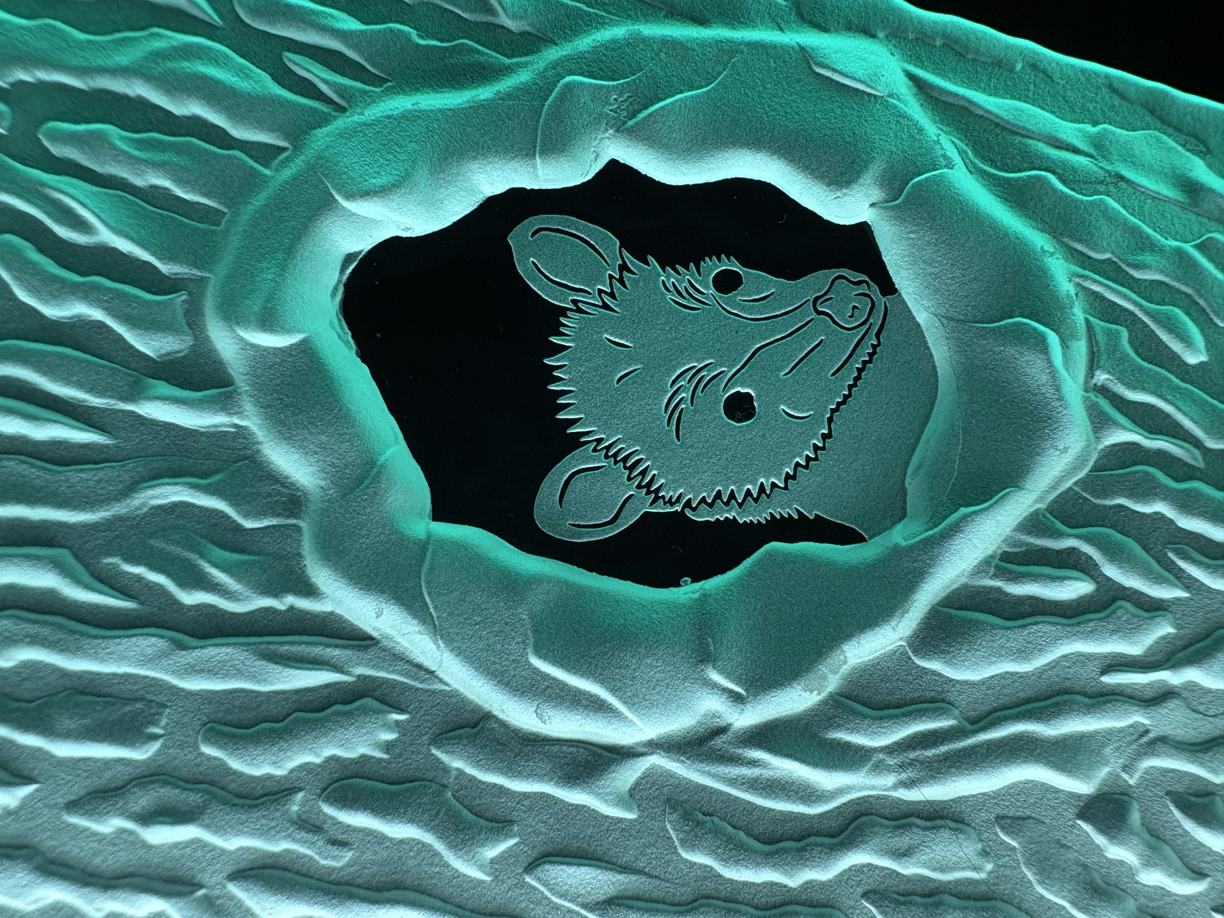 Closeup of the Possum in the Tree - Sand Carved Glass by Lex Melfi